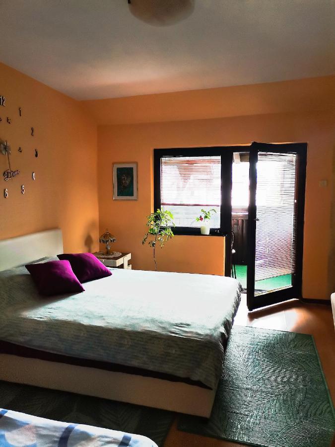 Apartment Andjela Златибор Екстер'єр фото