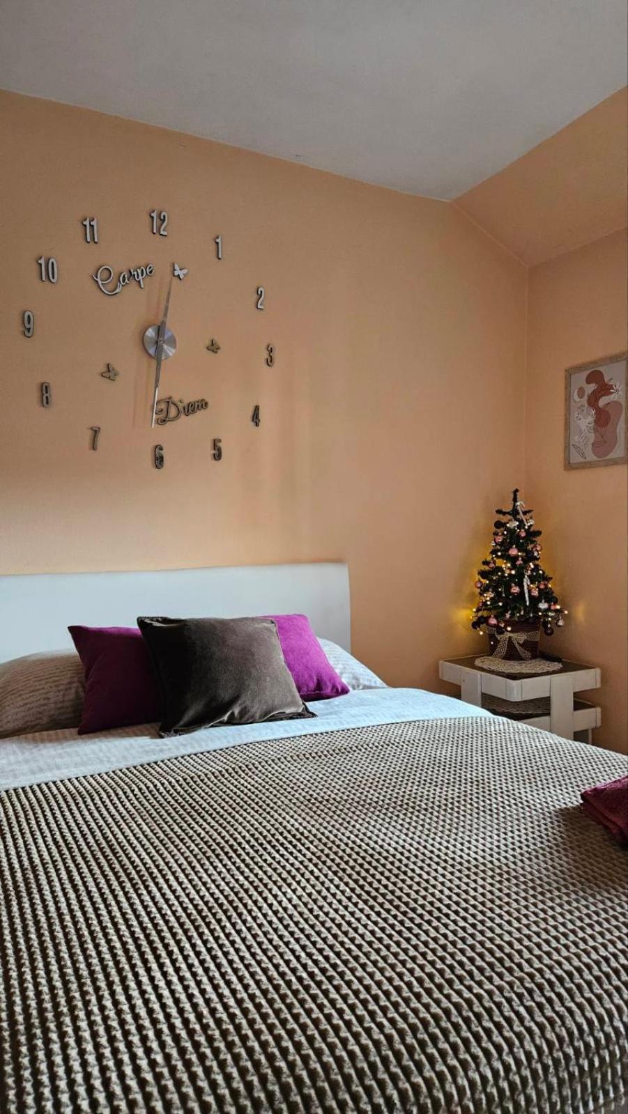 Apartment Andjela Златибор Екстер'єр фото